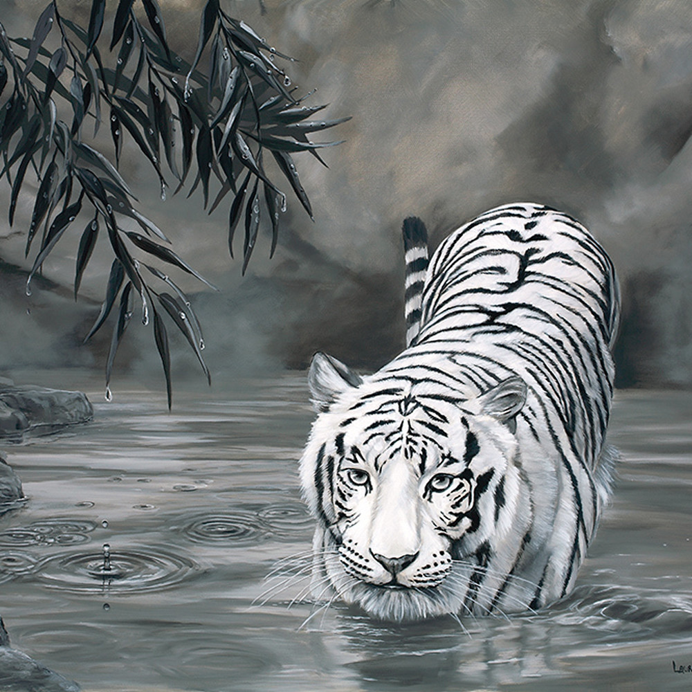 Наоми Лорд тигр