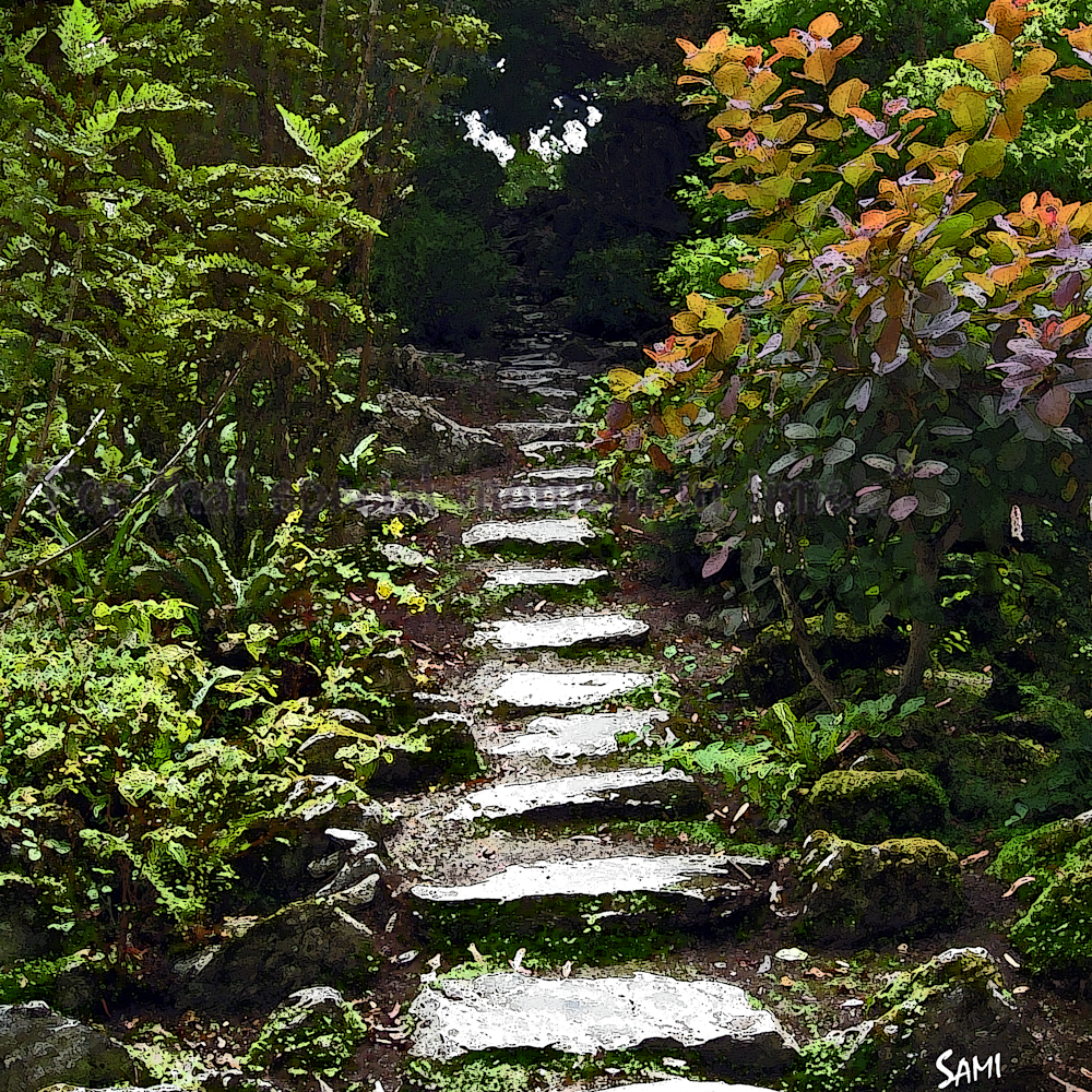 Steps 8017 wf4swu