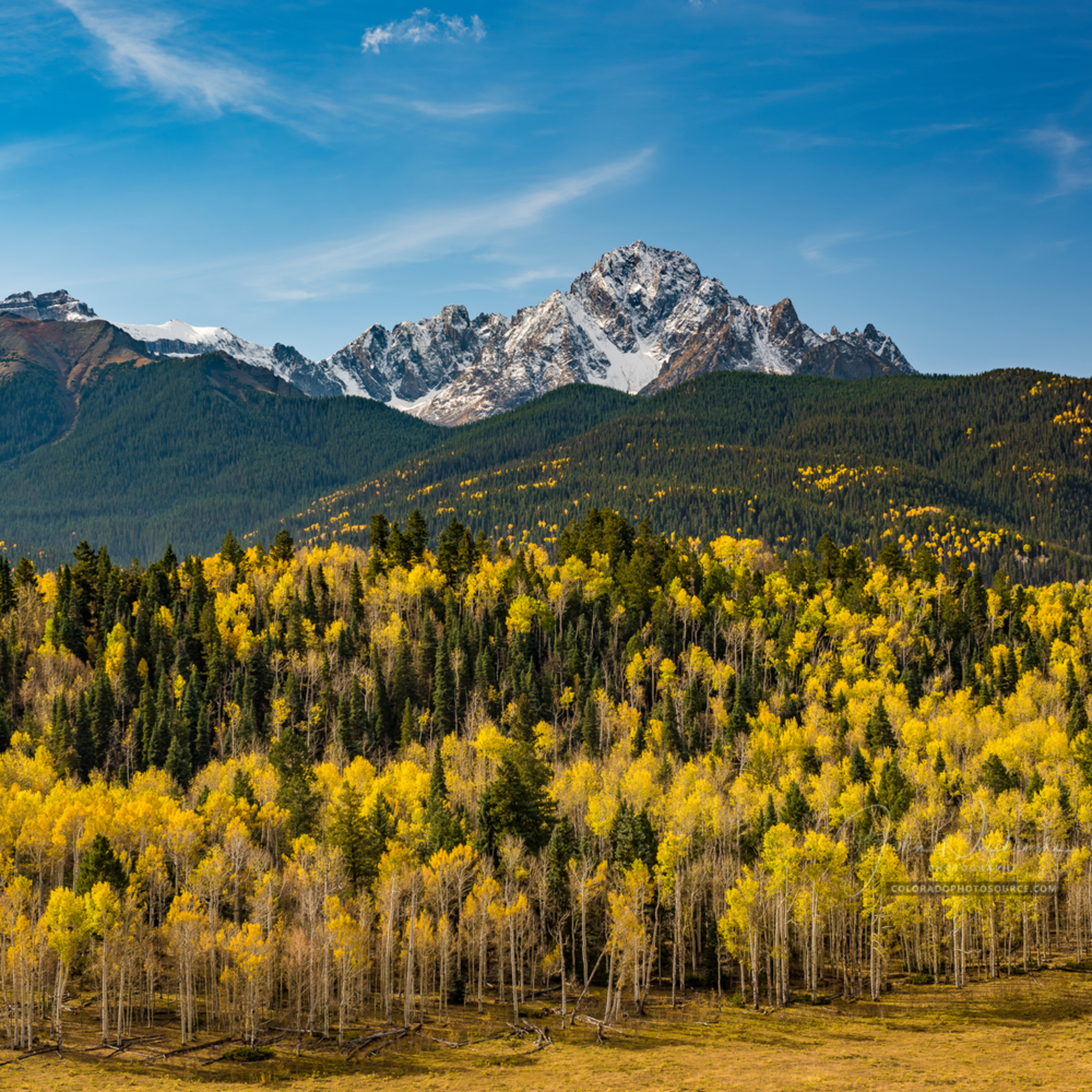 Buy Mt Sneffels Colorado Photography Prints & Strands of Aspen Trees in