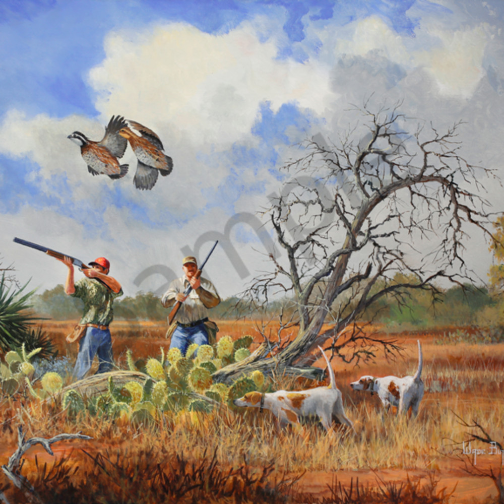 quail hunting quail hunting