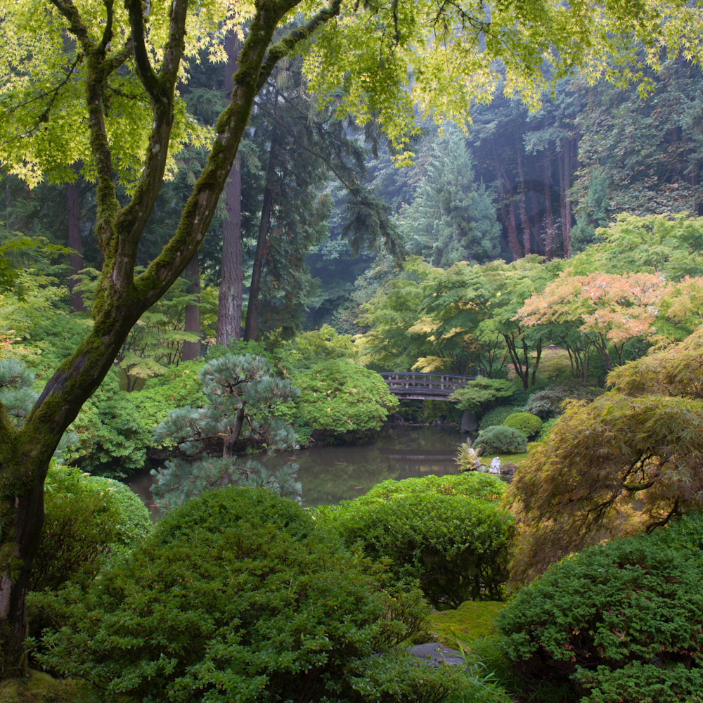 20111015eportland japanese garden wgxgra