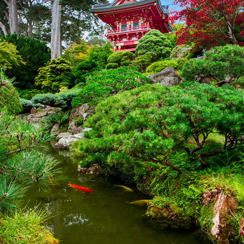 Japanese tea garden ggc0sj