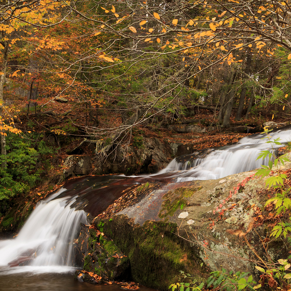 Statons creek falls autumn n1d47g