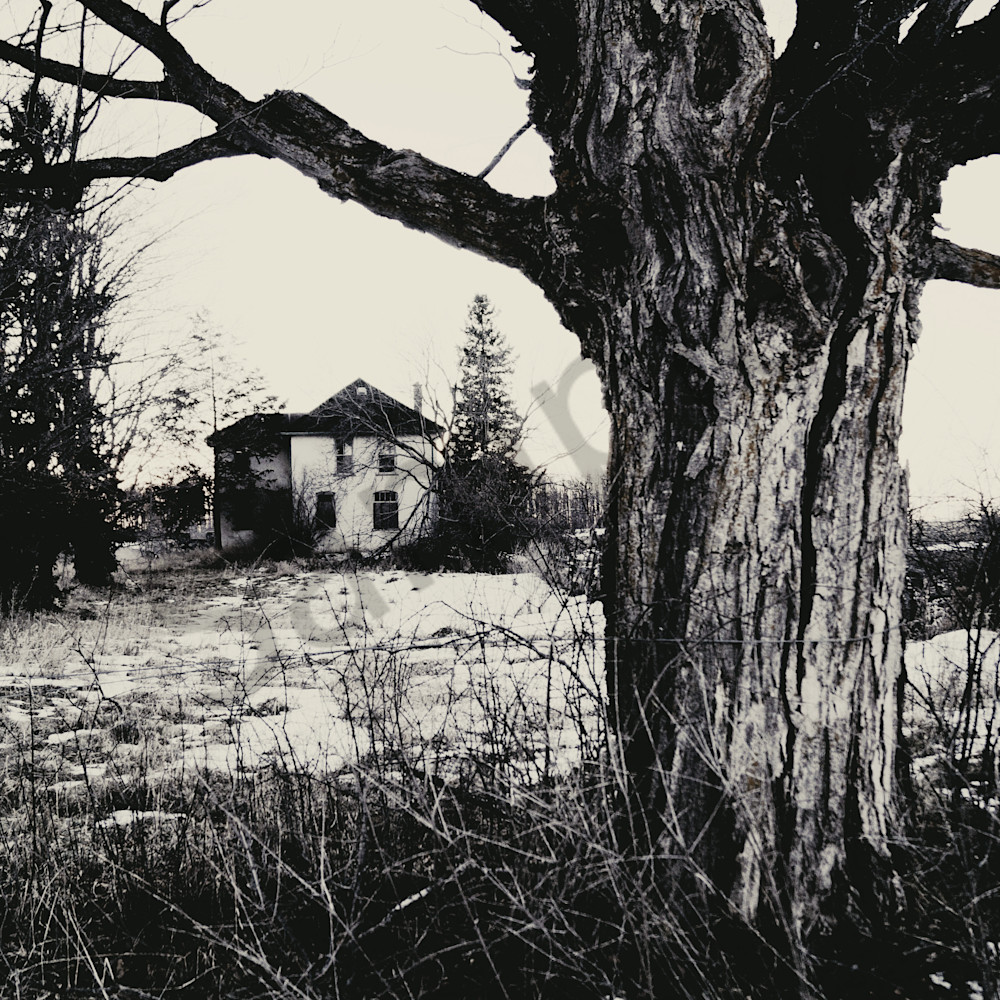 Abandoned country home u41fdp