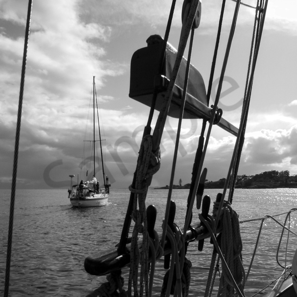 Sailing on victoria harbour zwpjzm