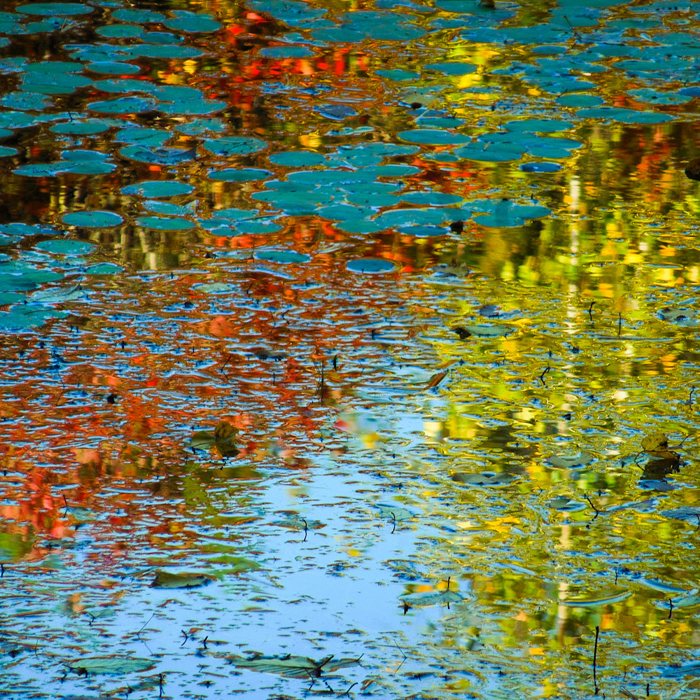 Color reflections hw6w08