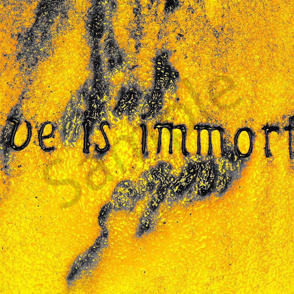 Love is immortal website edited 1 bcgzyp