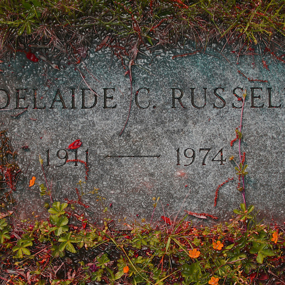 Adelaide c russell website s67ess