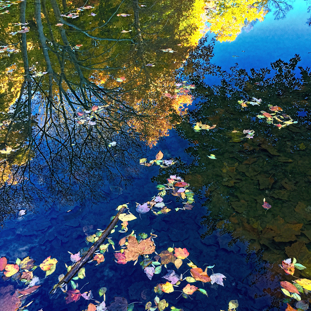 Autumn pond reflection website ame27c