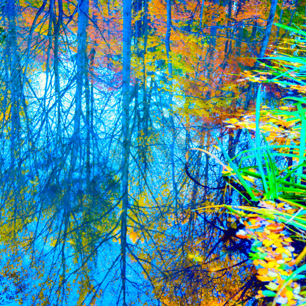 Fall pond reflection website qjkaqt