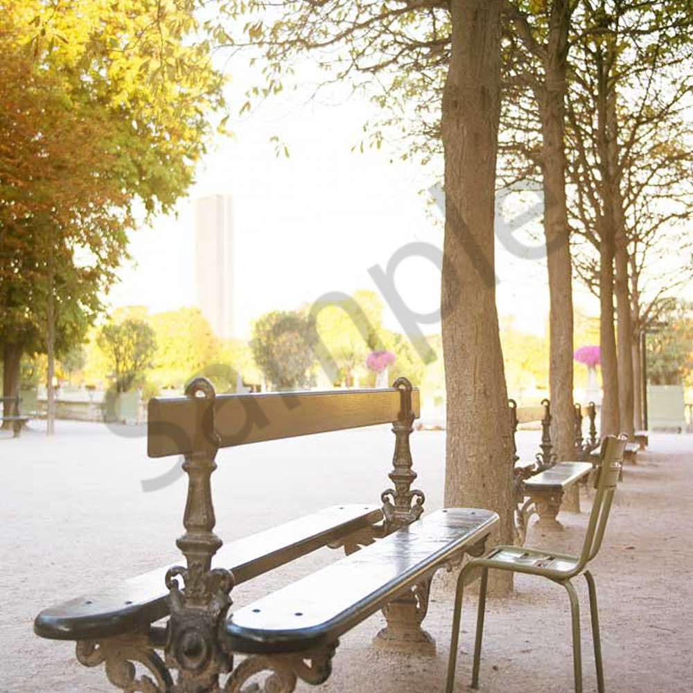 Bench in jardin du luxembourg 16x24 with signature qingqp