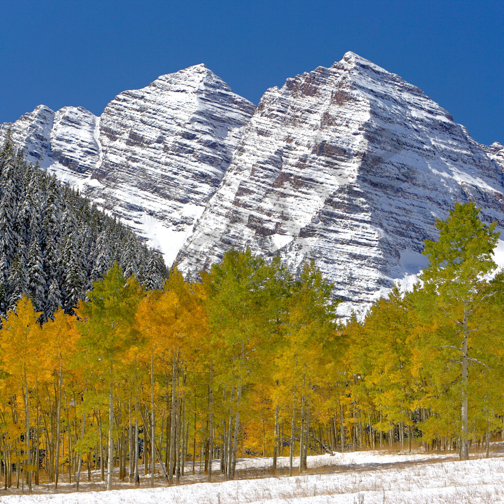 Maroonbells twhicd
