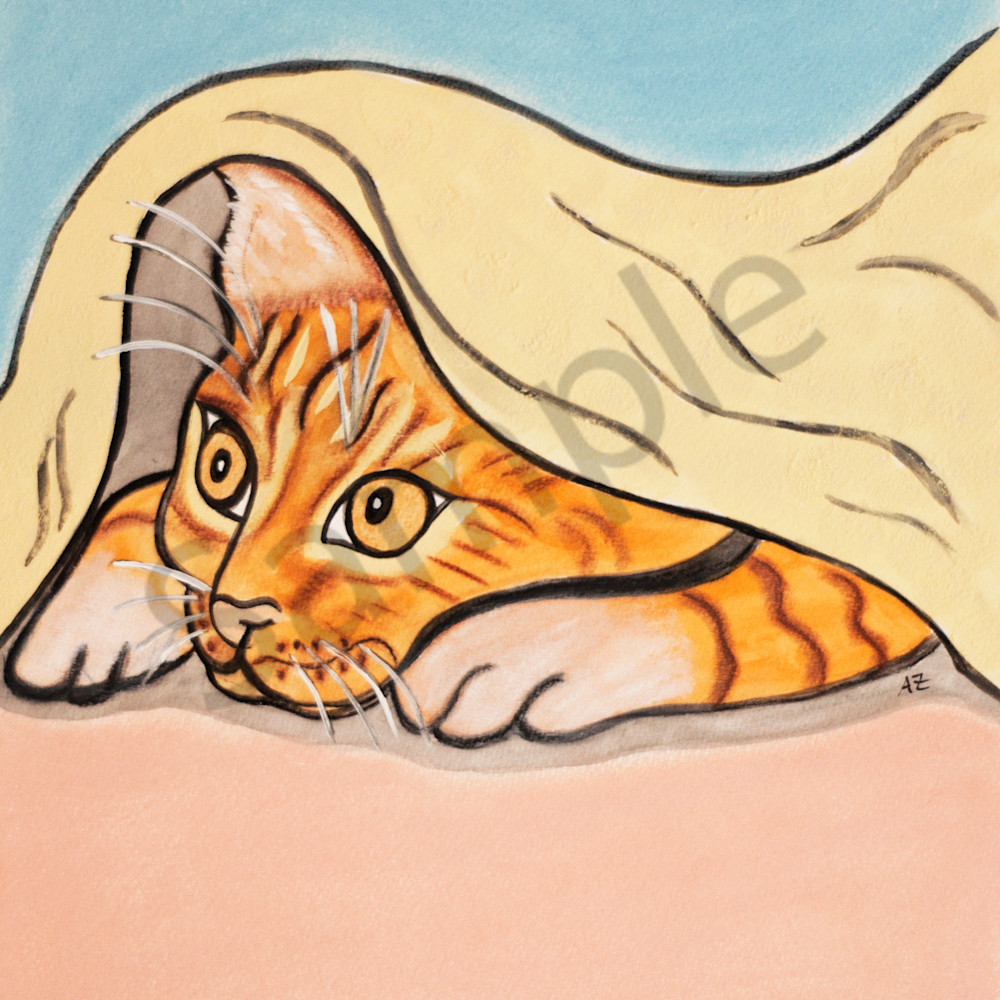 Cat with blanket oi4uuk