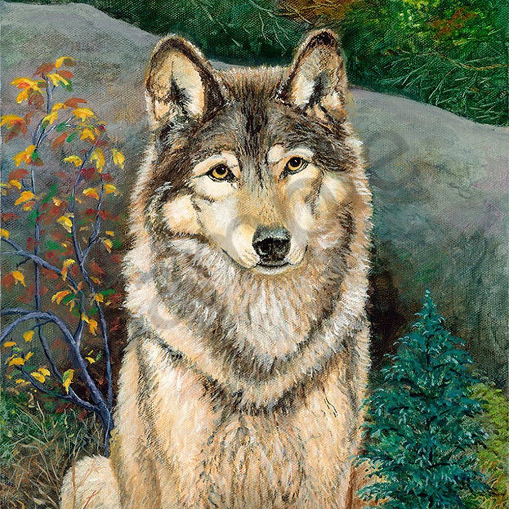 Lone wolf hyhwun
