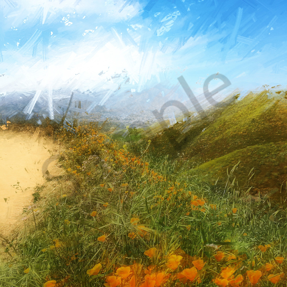 Light of life   img 4219   california poppies abstract landscape 2019   ps paint daubs art4theglryofgod mhhjcn
