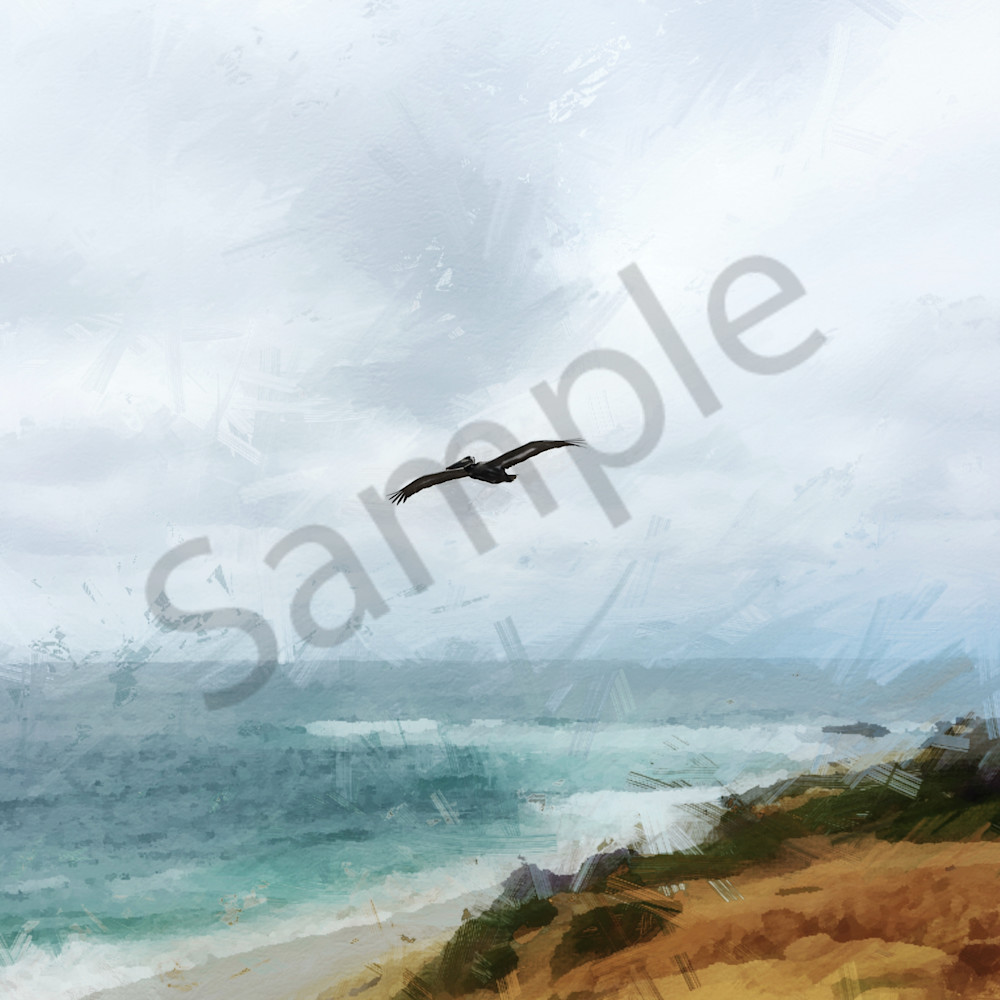 Img 1697 gray may with pelican in la jolla mothers day 2019   abstract digital painting enlight151 desaturate art4theglryofgod mbufss