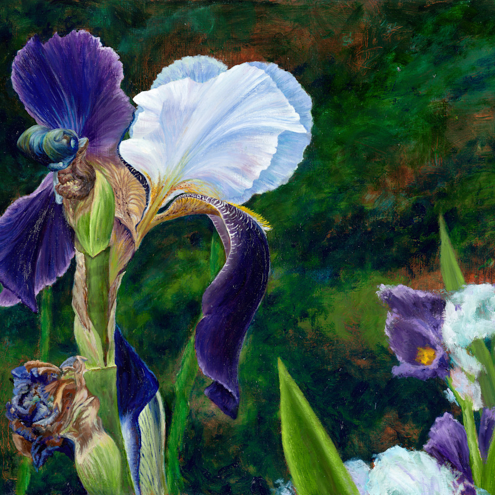 Gifts iris jhwgng