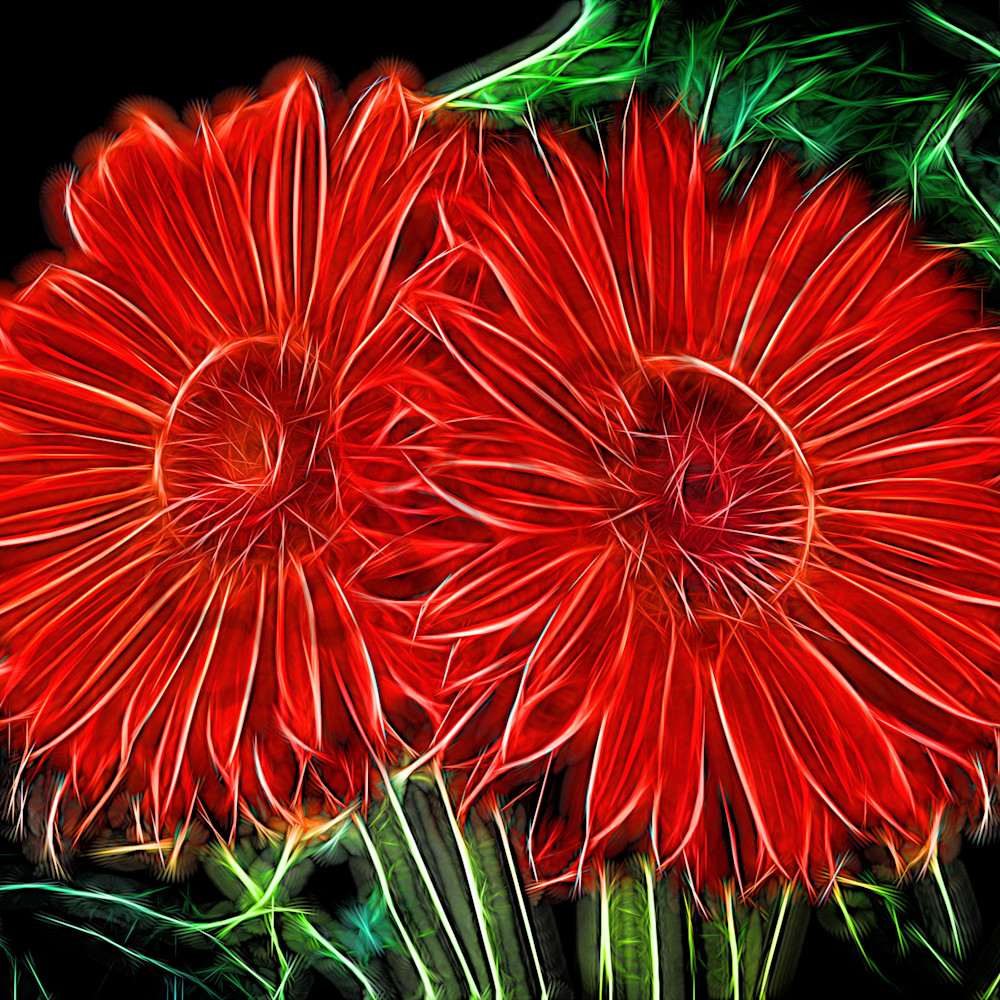 Electrifying daises biyaho