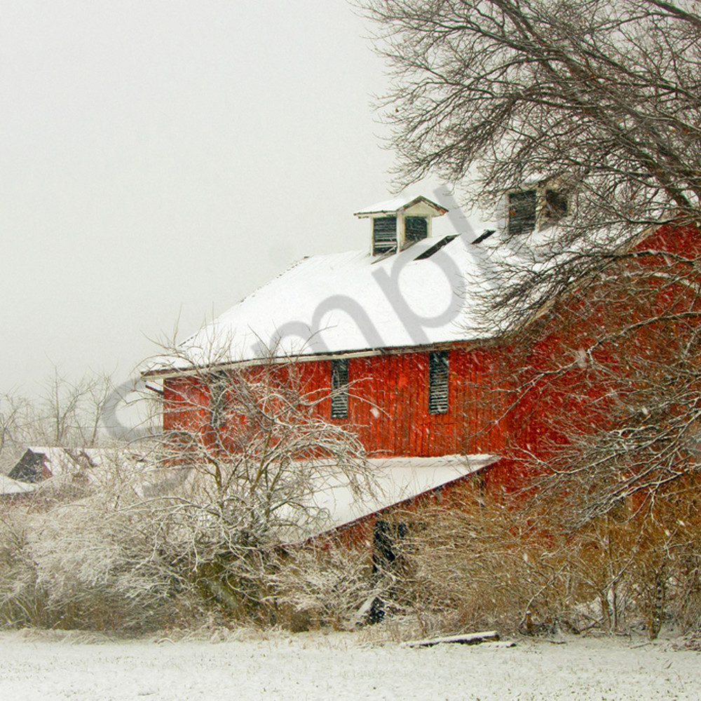 Snowy red barn gv8uvl