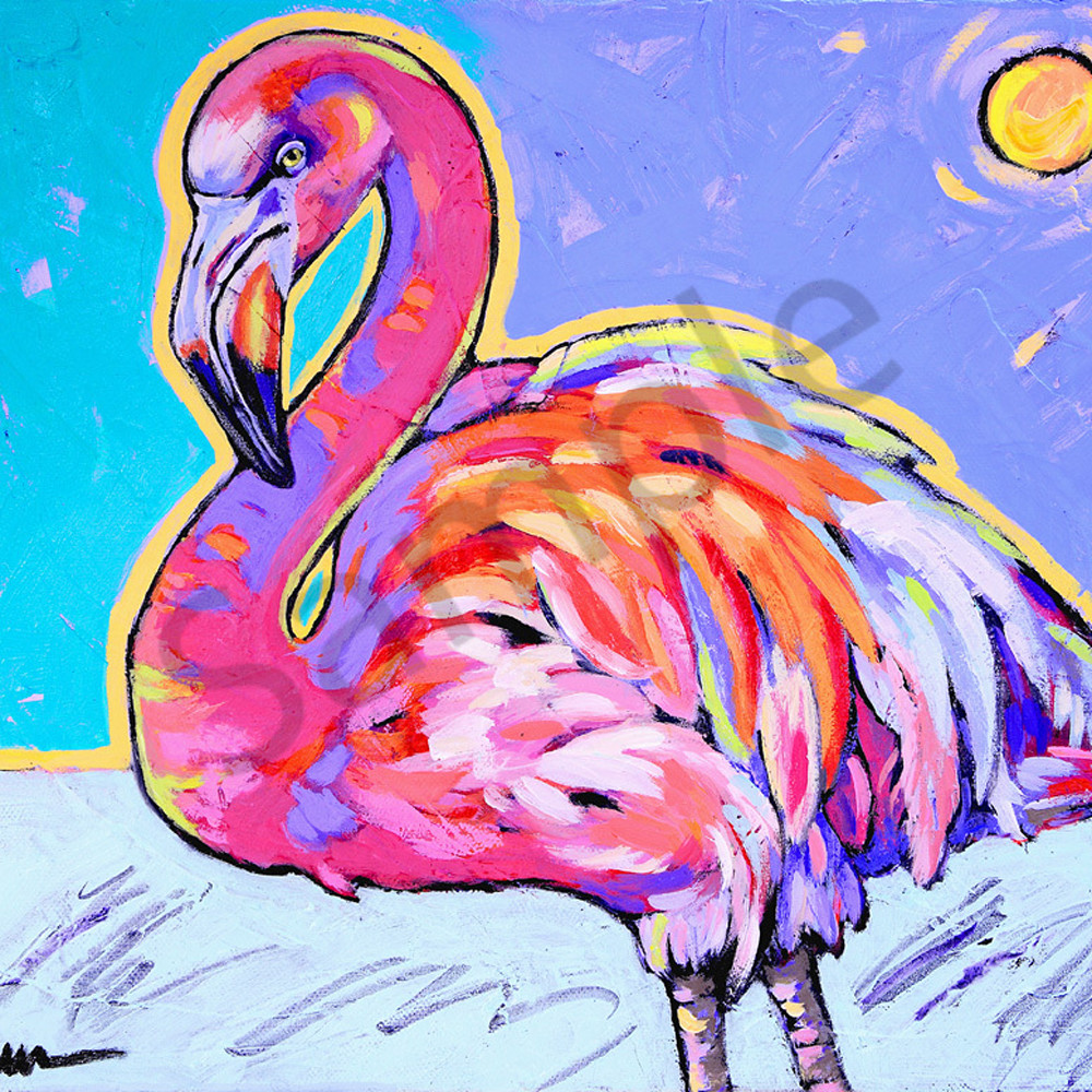 Flamingo dances under the sun rmks5w