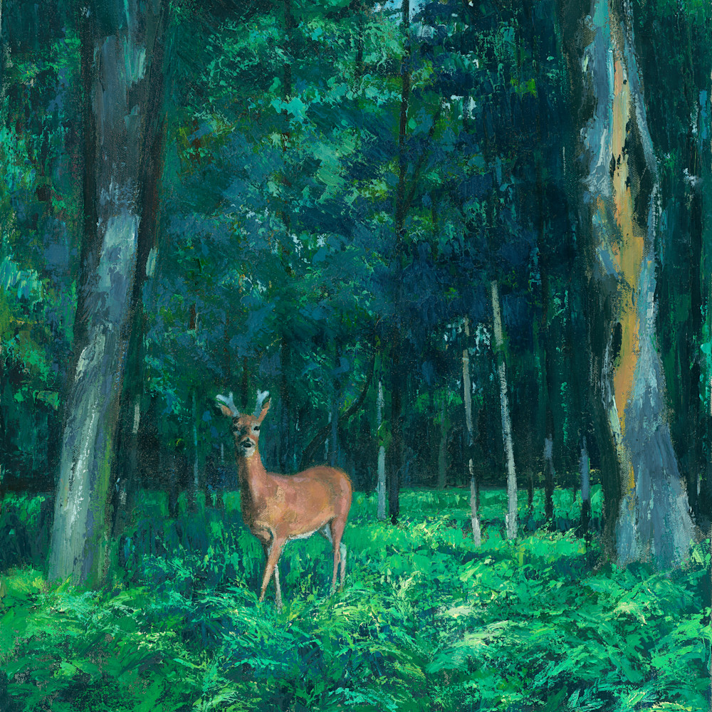 Deer in the woods bje8c6