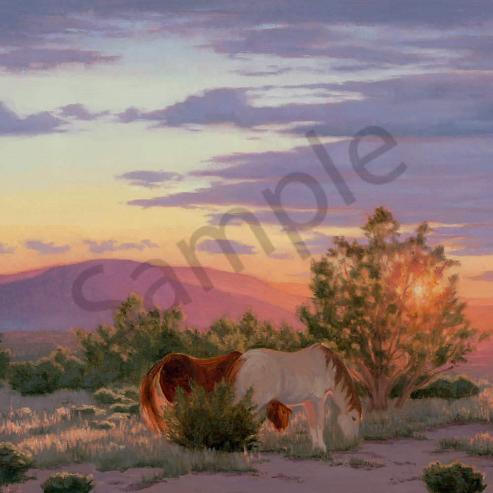 Two mustangs at sunset 24x30 vd8acj