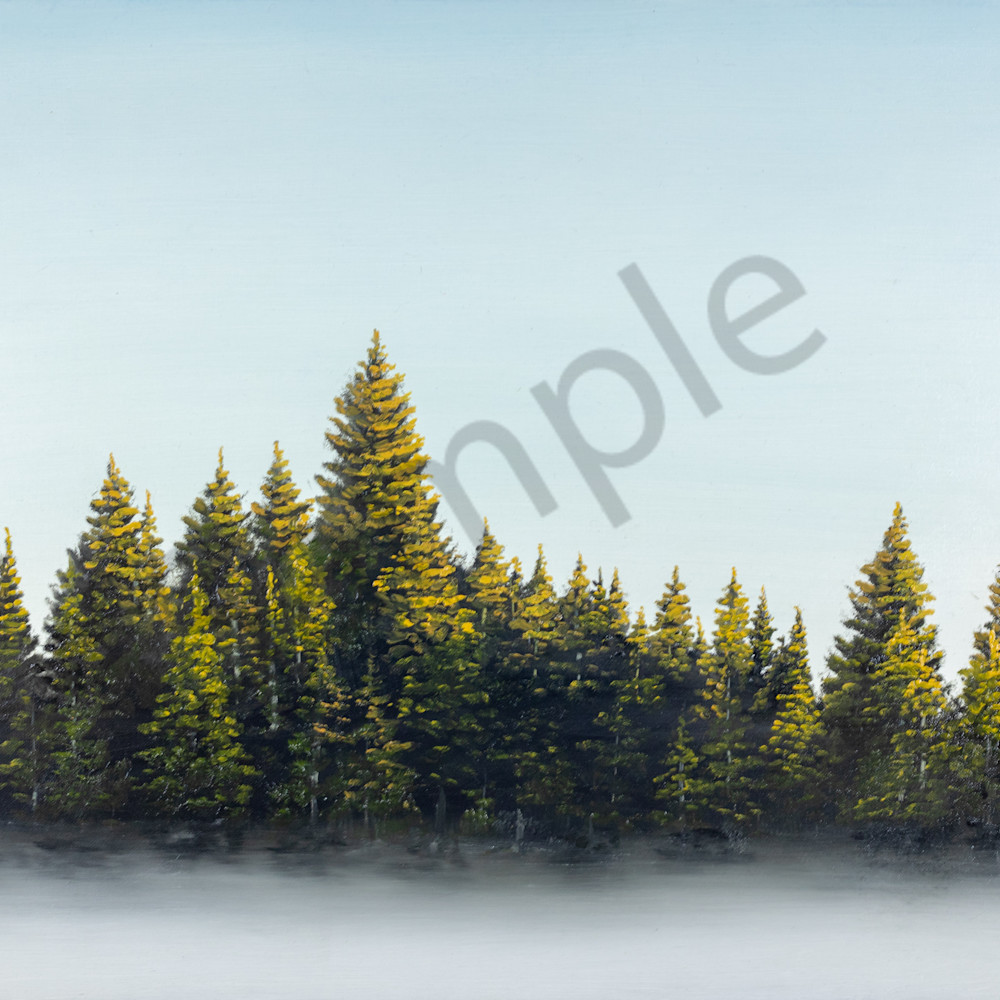 Rochelle w grimm pines in the fog peogwk