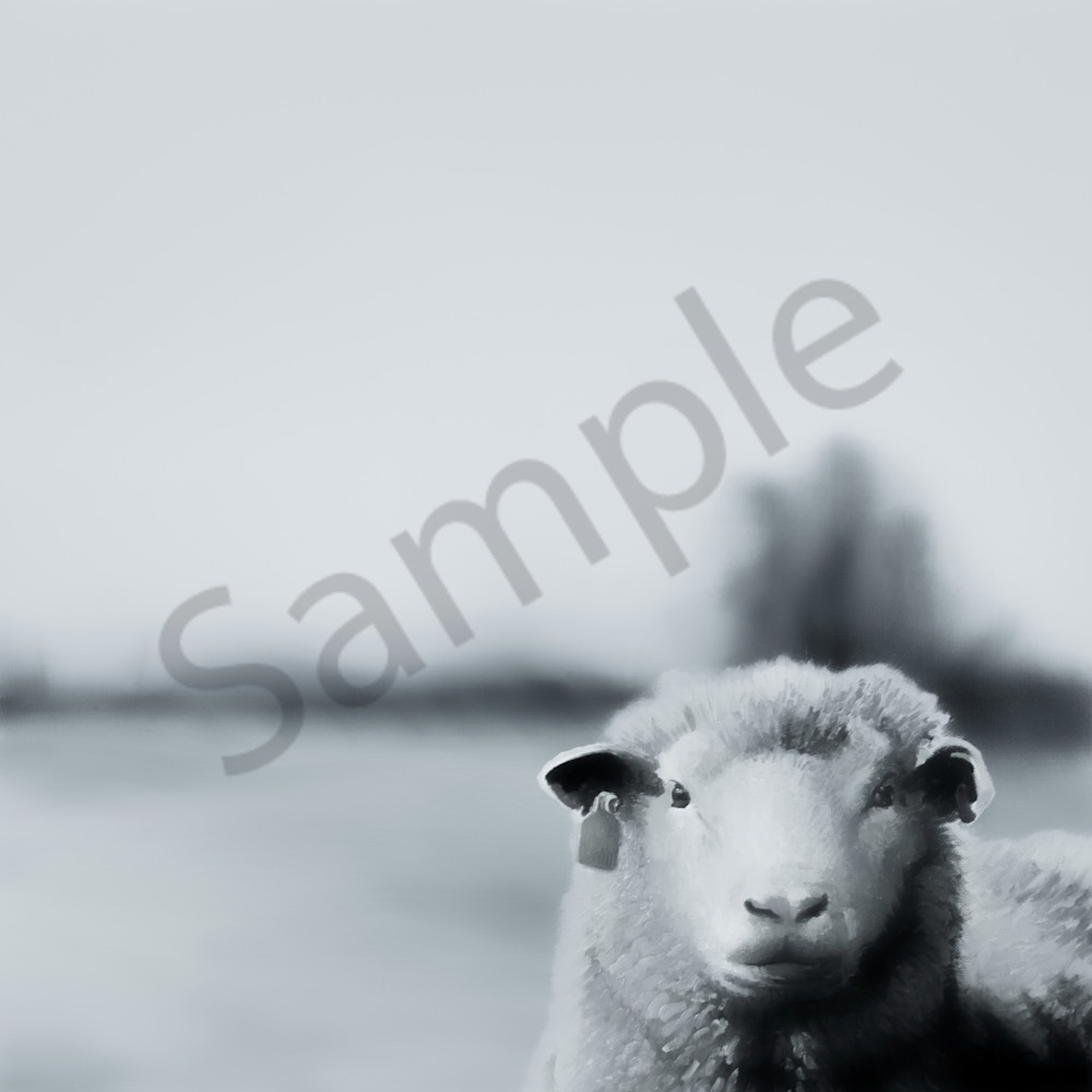 Rochelle w grimm sheep grayscale mmwxed