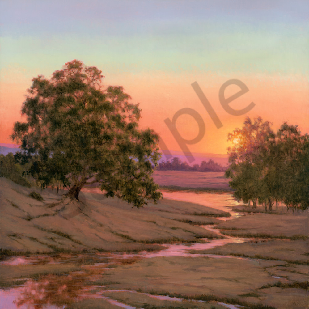 Wetland sunset color 36x36 gl6sbd