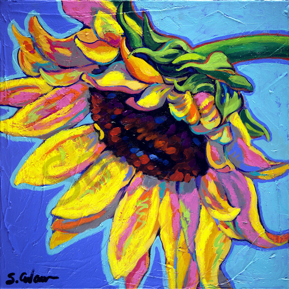 Sunflower bliss sally file pjwhxh