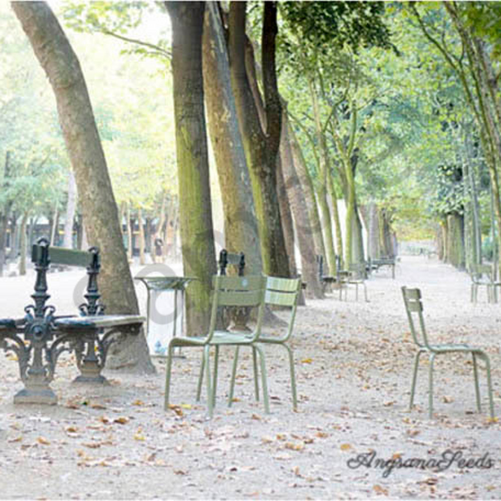 Mrnign light at jardin du luxembourg jypfrn