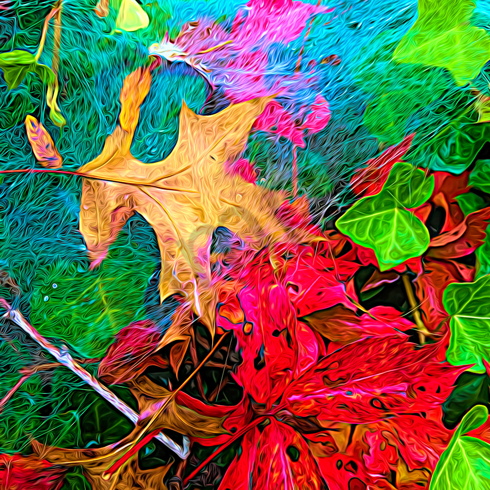 Leaves and spiderweb rrn8nh