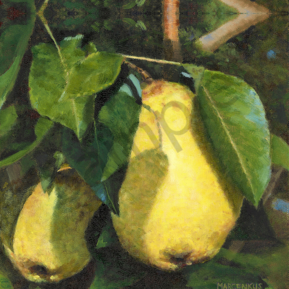 Two pear 20x20 resized iwes9l