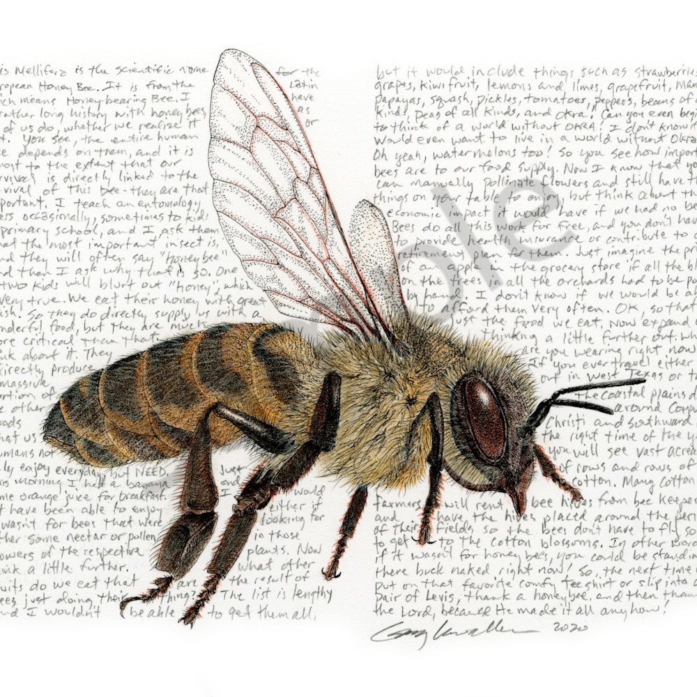 Honeybee2 nchuty