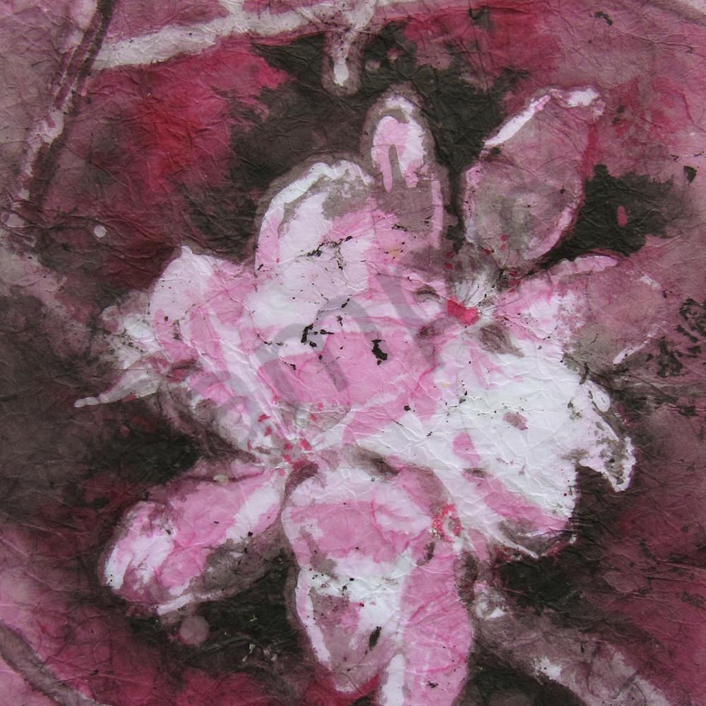 Crabapple blossoms monochrome yf0pro