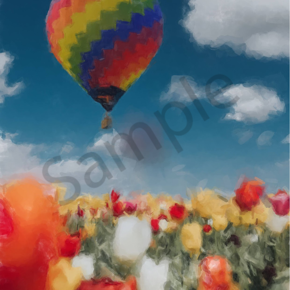 Tulips and hot air balloon gna csff5i