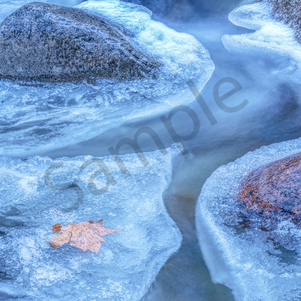 Holding on to autumn yosemite national park california 24x36 oqnqxp