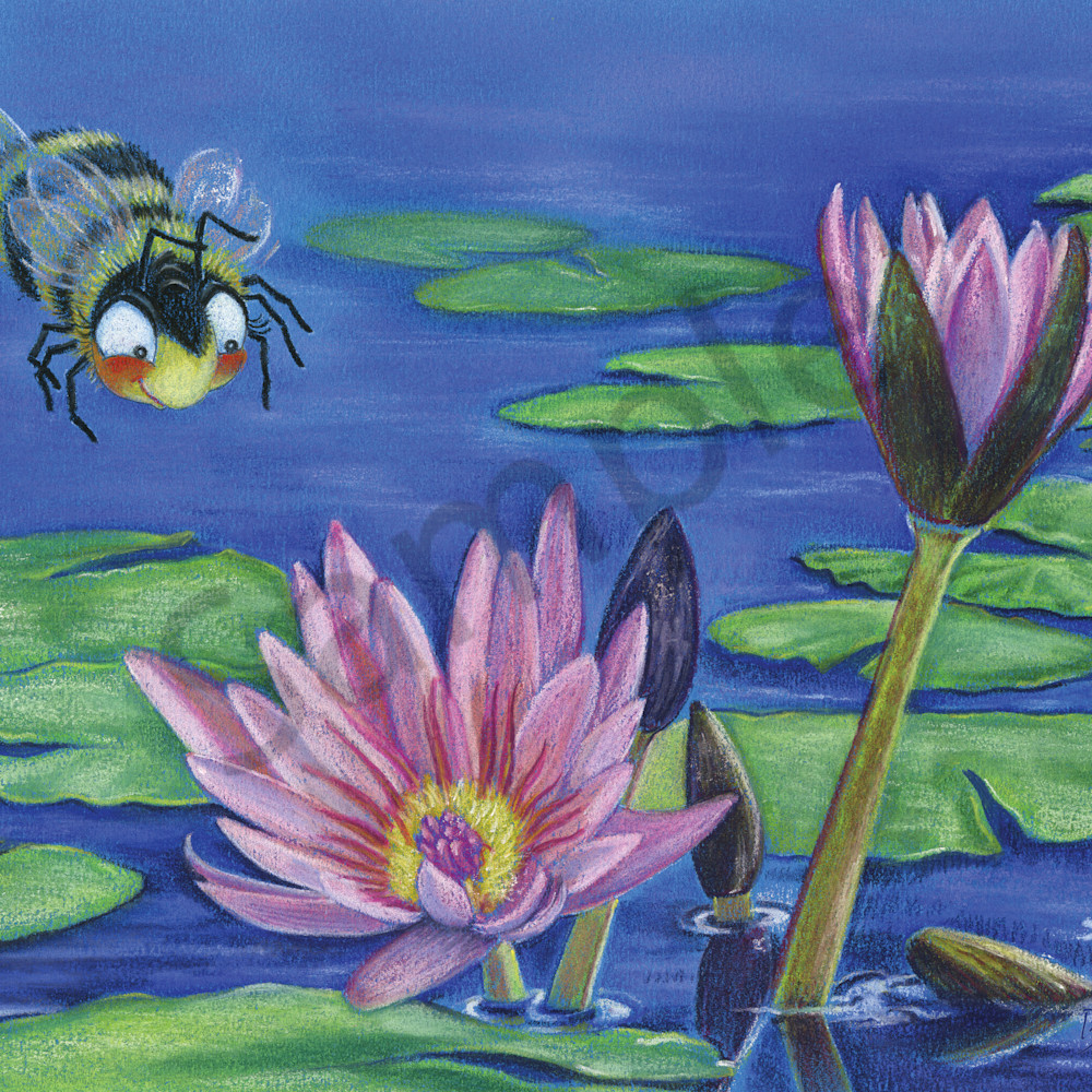 Waterlily oaha7e