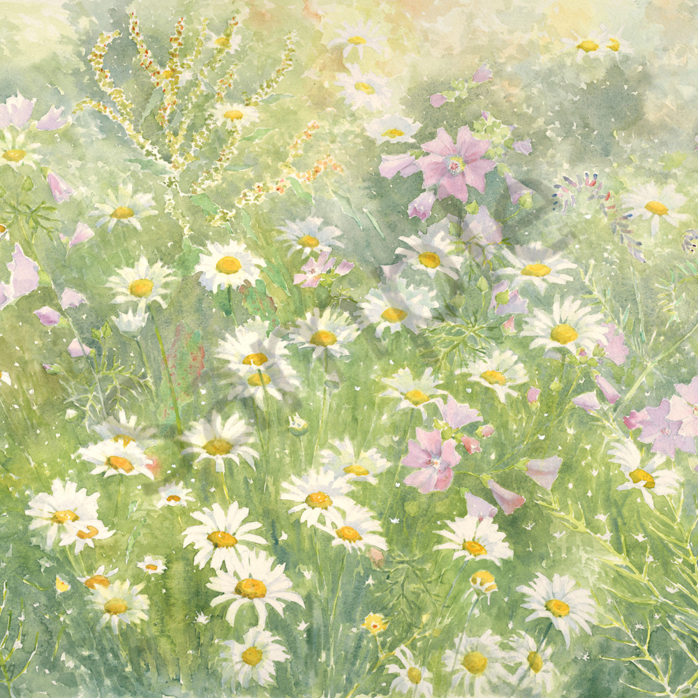 Wildflower field watercolor ctuy8f