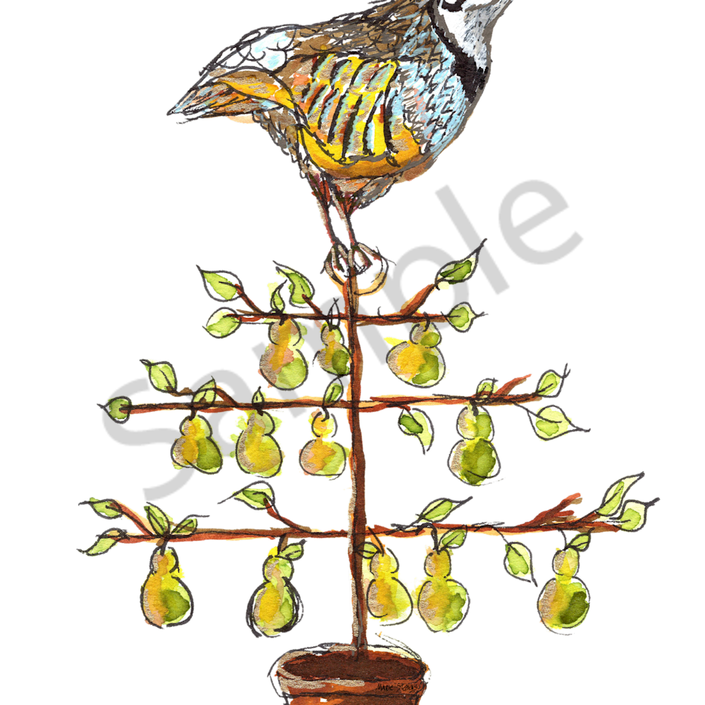 Partridge in a pear tree w signature qy4w31