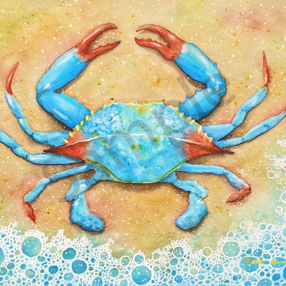 Blue crab iprc84