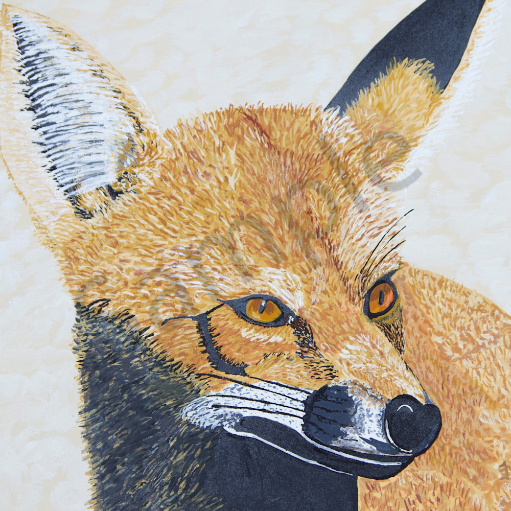 The fox nelfue