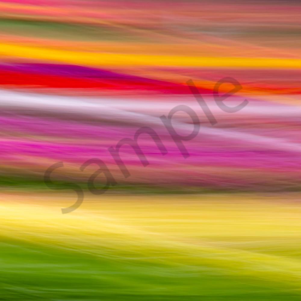 Chroma field abstract i 30x20 rpvcmr