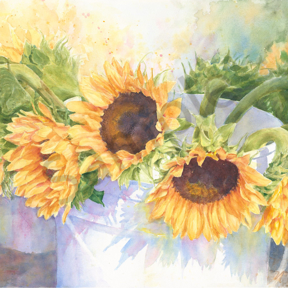 Nr sunflowers z057za