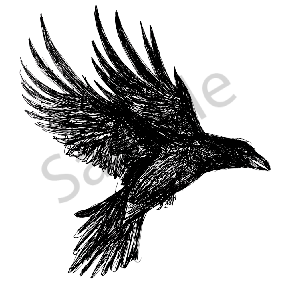 Crow in flight 11 x 14 wic9uk