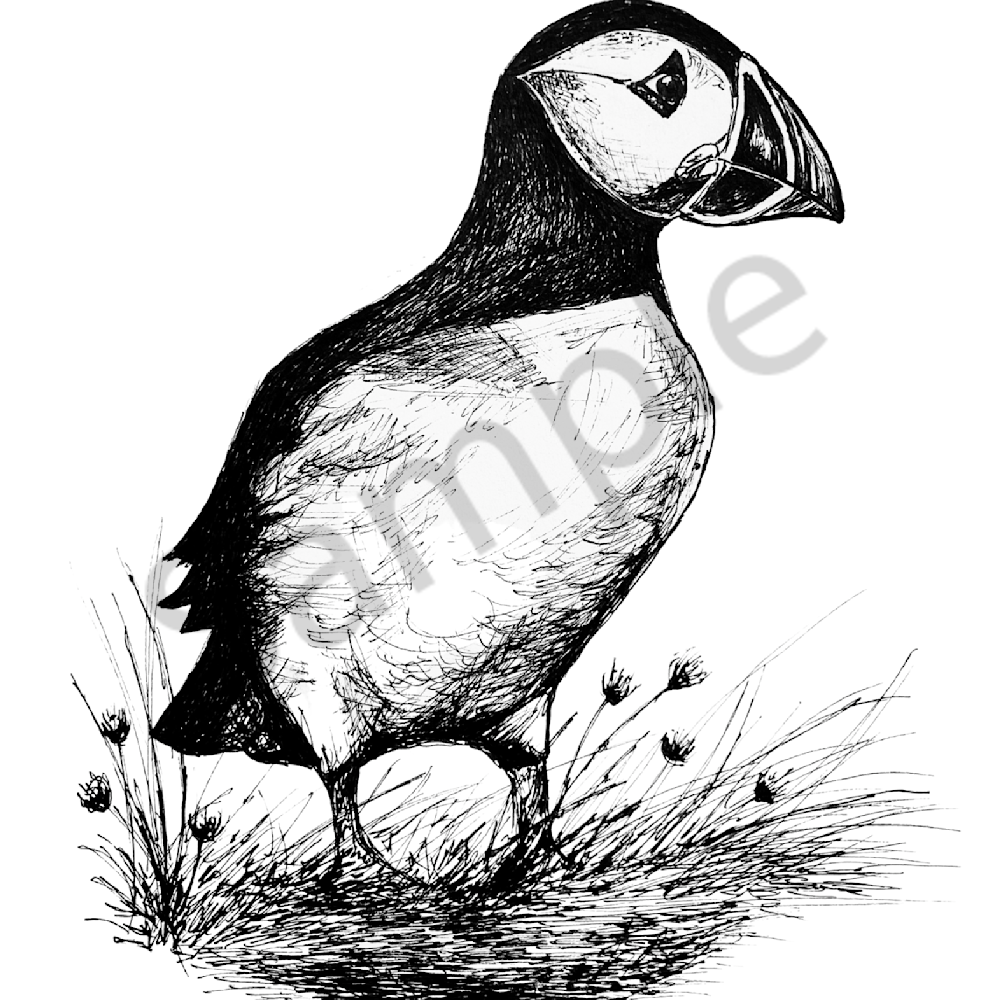 Puffin portrait 11x14 j6lanc