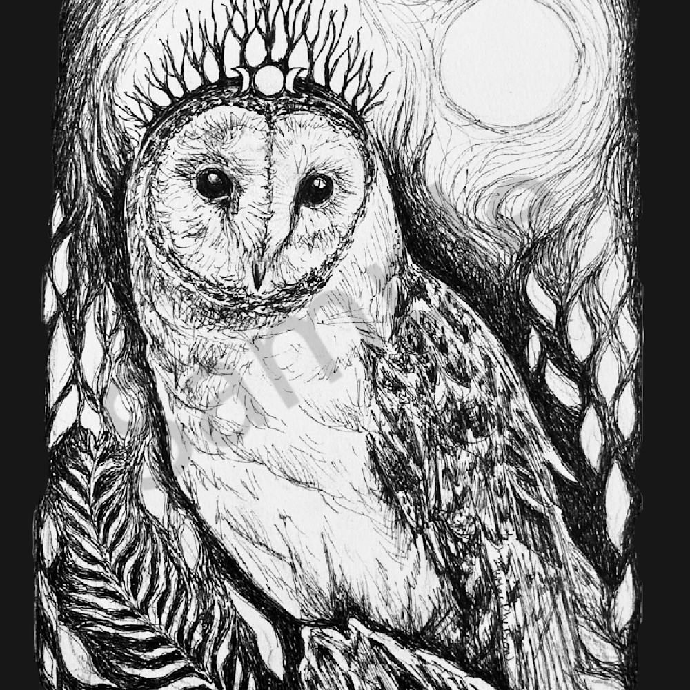 Moon barn owl 11 x 14 hlhcpt