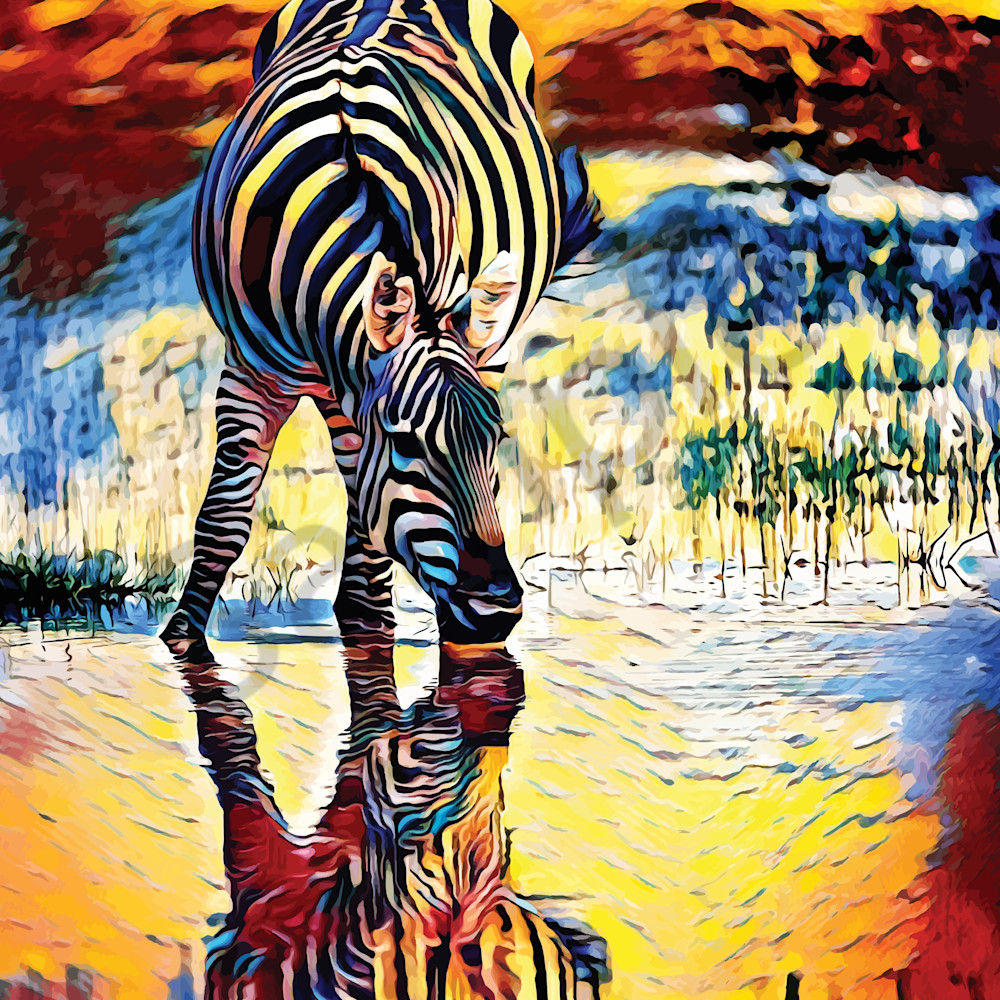 Zebra reflections eisuaa