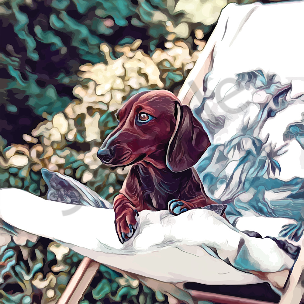Relaxing dachshund o2rp9u