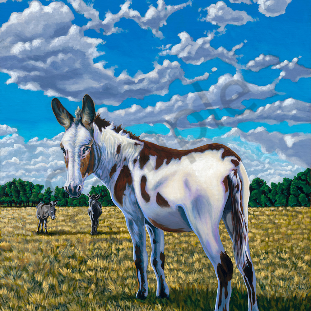 Painted donkey 36x48 150 dpi xni8em